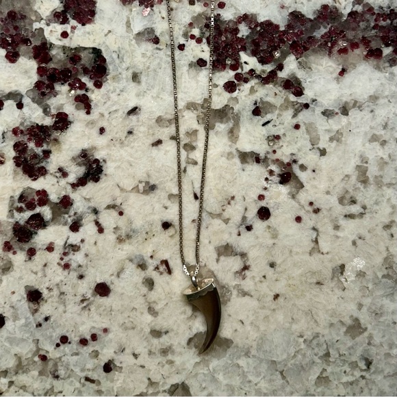 Bear Claw Pendant Necklace - Picture 3 of 5